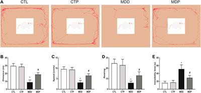 Pinocembrin Decreases Ventricular Fibrillation Susceptibility in a Rat Model of Depression